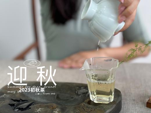 2023年的迎秋，是款好品相高等级的好茶。阔别2年，它又回来了！ 商品图9