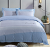 【远梦】纯棉软呢床单四件套 商品缩略图0