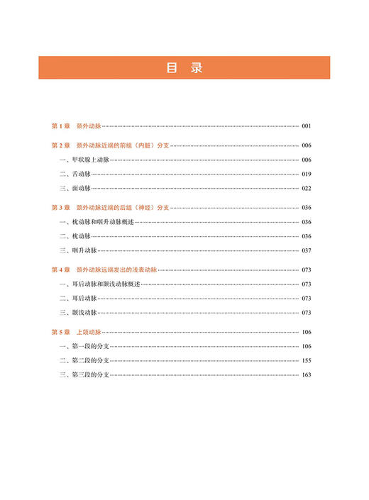 颈外动脉 血管内治疗影像解剖图谱 马永杰 陆夏主译 影像学检查技术 颈外动脉解剖结构 神经科学 中国科学技术出版社9787523604755 商品图2