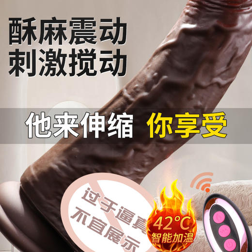 【谜姬】 假阳具 集合链接 商品图5