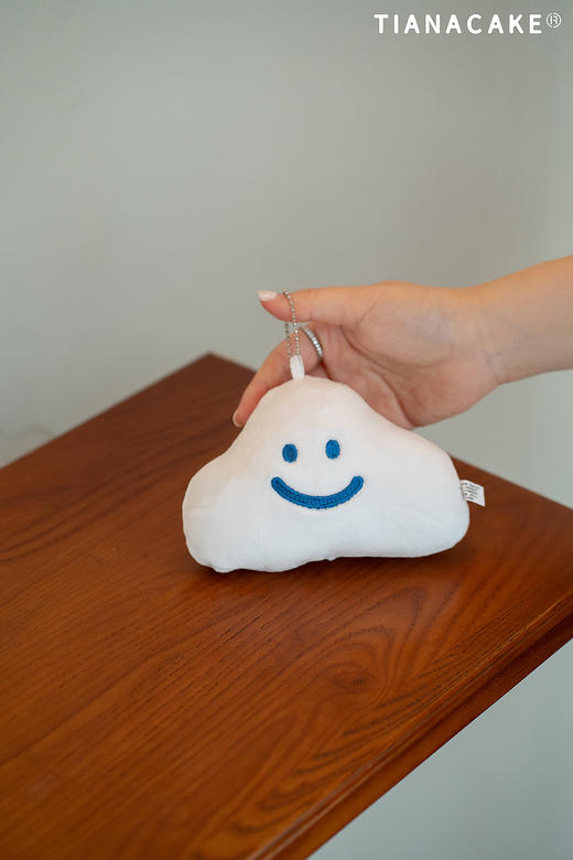 ☁️小白（毛绒玩偶） 商品图1