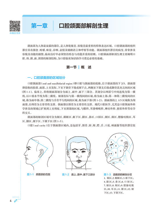 口腔科学第10版第十版 本科临床配增值新版蓝色生死恋供基础临床预防口腔医学类专业用 郭传瑸 程斌 人民卫生出版社 9787117362375 商品图3