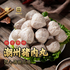 潮农投鲜制潮州猪肉丸250g/袋