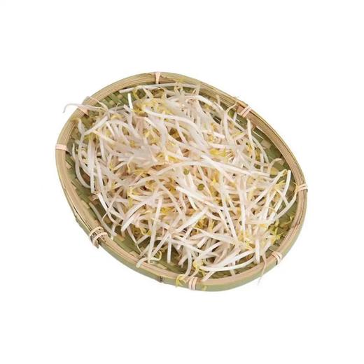 绿豆芽（约500g） 商品图0