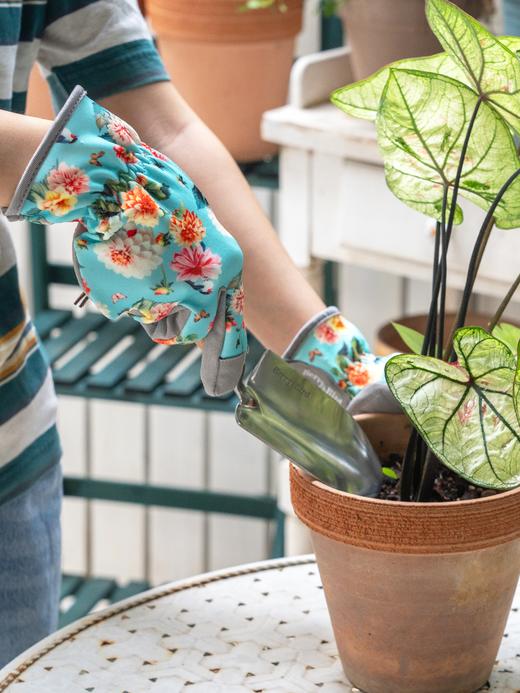 【云优选】Berry&Bird园艺手套（大丽花） 商品图5