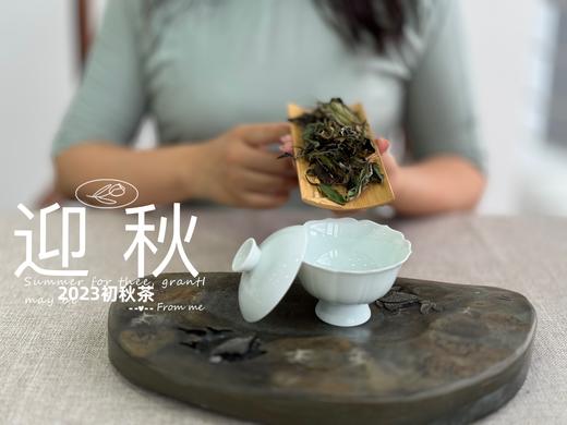 【2023秋茶】2023年的迎秋，是款好品相高等级的好茶。阔别2年，它又回来了！ 商品图5