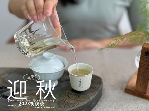 【2023秋茶】2023年的迎秋，是款好品相高等级的好茶。阔别2年，它又回来了！ 商品图9