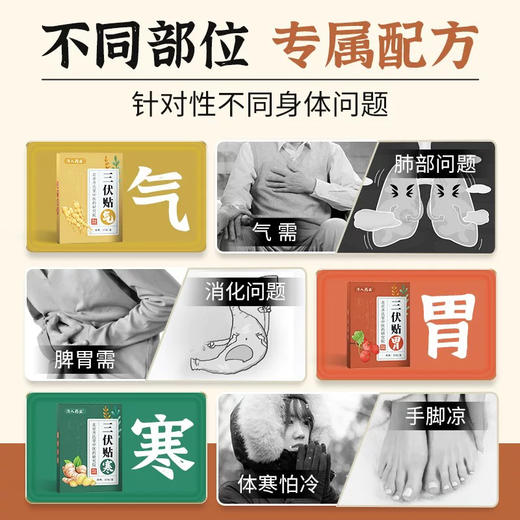 赠品:三伏贴 商品图1