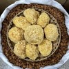 银耳  形紧密小巧，泡发后柔软洁白，半透明，含胶质高，富有弹性 商品缩略图2