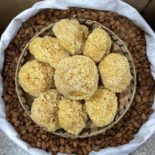 银耳  形紧密小巧，泡发后柔软洁白，半透明，含胶质高，富有弹性 商品图2