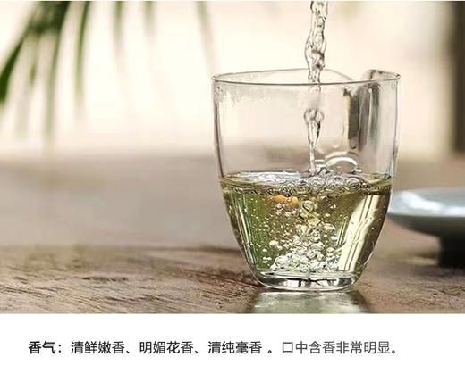 福鼎白茶 | 小城之春 2024年 磻溪核心产区 自然山物 一级白牡丹 60g/盒 商品图2