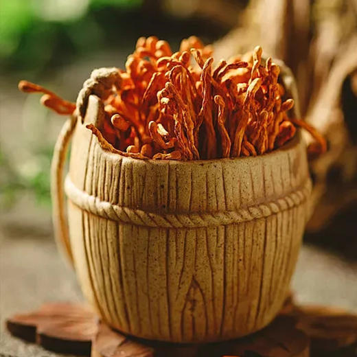 【梅州帮扶】客小优虫草花 250g/袋 商品图4