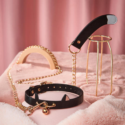 纵锦浪里sm猫猫束缚套装手铐脚铐口球调教 商品图2