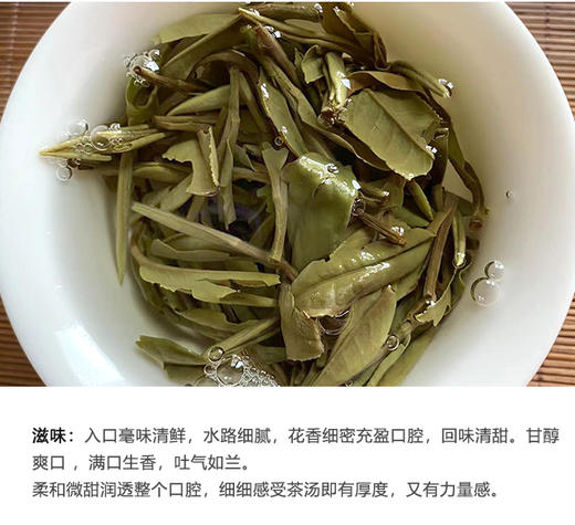 福鼎白茶 | 小城之春 2024年 磻溪核心产区 自然山物 一级白牡丹 60g/盒 商品图4