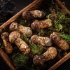 香格里拉直采松茸（3-5cm）500g 商品缩略图0