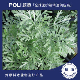 肯尼亚进口有机树艾树蒿蓝色艾草精油原料美容院护肤刮痧发热单方精油