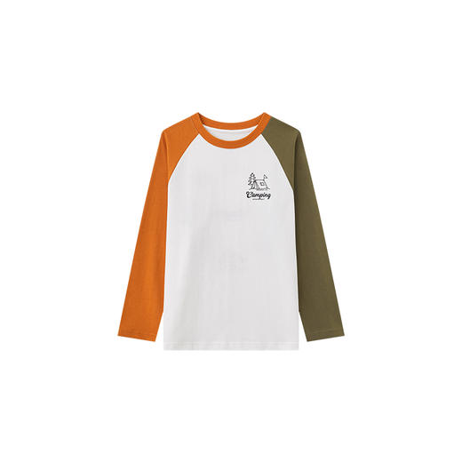 【团购价49.9】多多家 男童长袖T恤2024新款春秋季儿童中大童纯棉露营印花上衣潮9656 商品图3