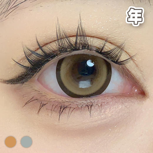 国产大直径！14.5mm 【1片装】年抛 商品图5