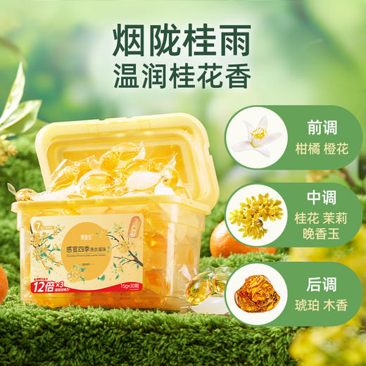 【供货】偶爱你感官四季洗衣凝珠7重酵素12倍洁净香水级香调 商品图10