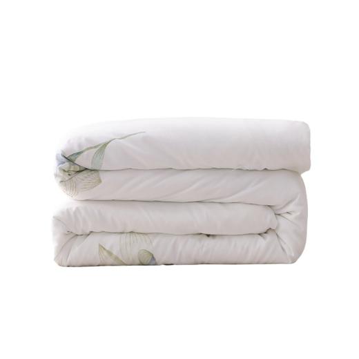 钱皇  水芙蓉蚕丝夏凉被 商品图6