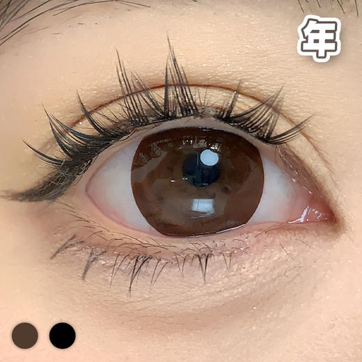 国产大直径！14.5mm 【1片装】年抛 商品图1