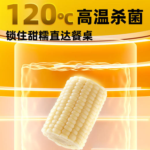 【十月稻田】白糯玉米段2.08kg/箱 商品图3