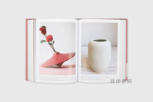 1000 Vases (Bilingual edition) / 1000个花瓶 商品图2