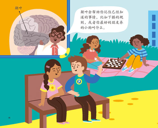 发现自我价值系列-儿童情绪管理与性格培养（共6册）：《我真的很棒》《独一无二的我》《我会上厕所啦！》《我们的大脑》《我会关心别人》《幸福其实很简单》 商品图13