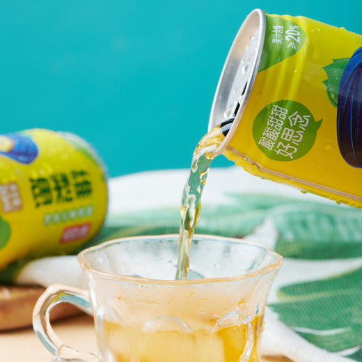 【贵州帮扶】黔益堂丨刺梨果汁 245ml*12罐/箱 商品图4