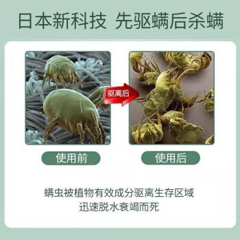 KINCHO金鸟驱螨包植物驱螨虫除螨虫床沙发驱螨神器免洗1盒2个装 商品图3