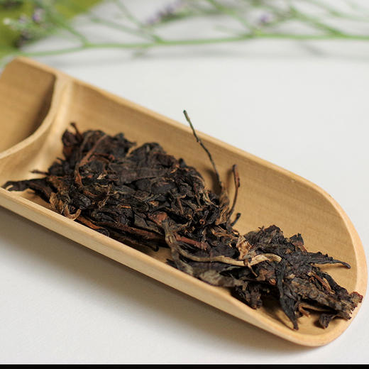 【十二茶山仓】景迈古树收藏级普洱茶357克生饼 商品图3