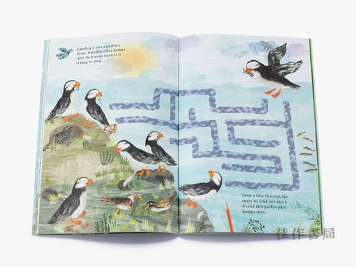 The Big Sticker Book of Birds (The Big Book series) / 鸟类大贴纸书（大书系列） 商品图2