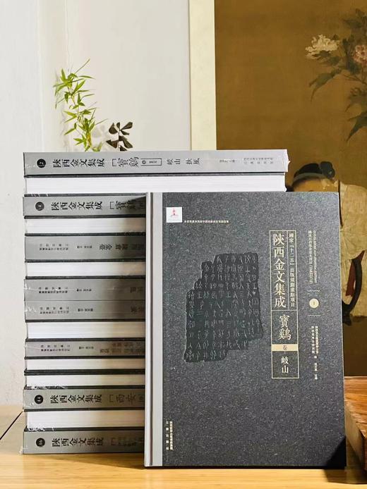 《陕西金文集成》，陕西古籍整理办 陕西省考古研究院 张天恩主编，全套16册，8开精装，514个印张，四色彩印，三秦出版社2016年一版，2018年二印，定价19800售价4680 商品图2