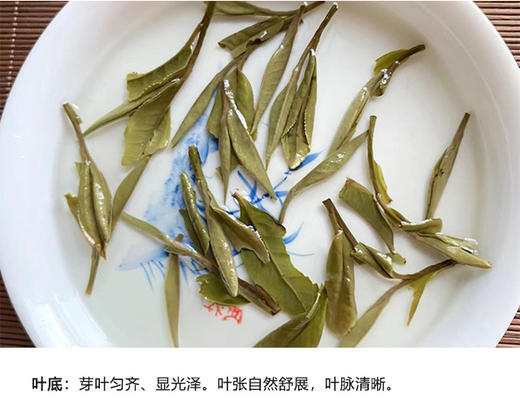 福鼎白茶 | 小城之春 2024年 磻溪核心产区 自然山物 一级白牡丹 60g/盒 商品图3