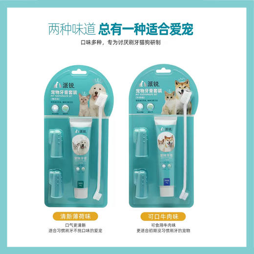 清新伙伴薄荷味牙膏套装宠物狗猫咪牙刷清新口腔猫咪用品 商品图3