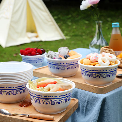 美丽雅一次性青花碗700ml*20只 商品图10