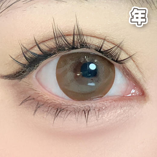 国产大直径！14.5mm 【1片装】年抛 商品图4