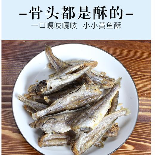 潮农投即食海鲜（酥黄鱼）95g/瓶 商品图1