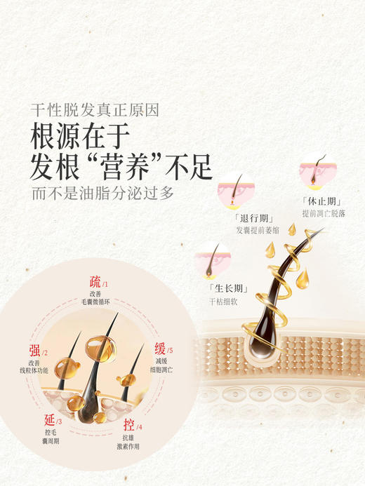 【控油 防脱】中药植物草本洗发水 控油蓬松 沙发防脱 侧伯叶 （买就送4袋试用装小样） 商品图2