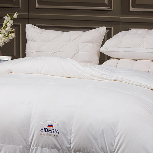 多喜爱 加倍保暖鹅享加厚冬被 商品图2