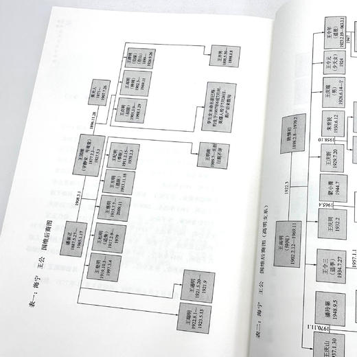 《我和我的父亲王国维》 商品图10