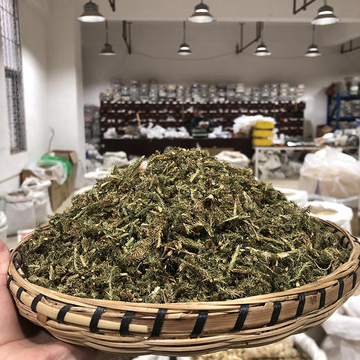 伸筋草 商品图1