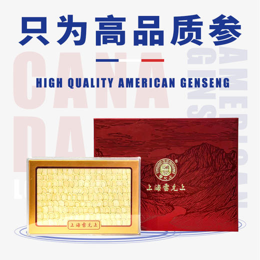 雷允上西洋参大片200克 商品图0
