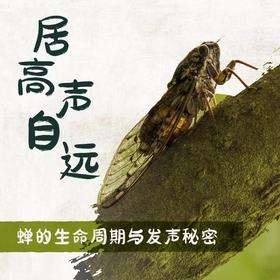【南京】居高声自远