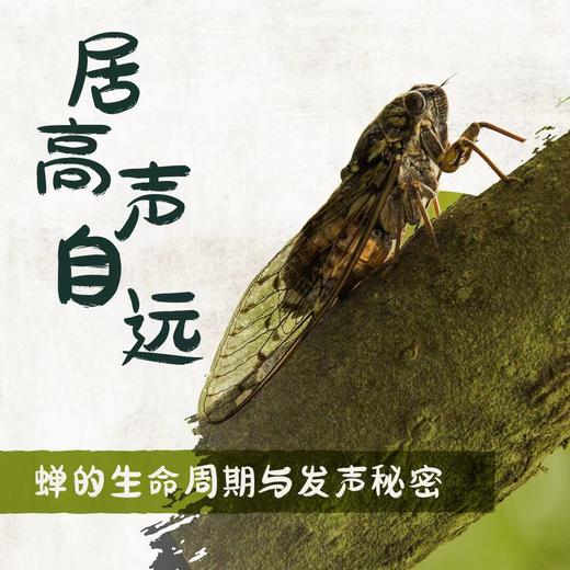 【南京】居高声自远 商品图0