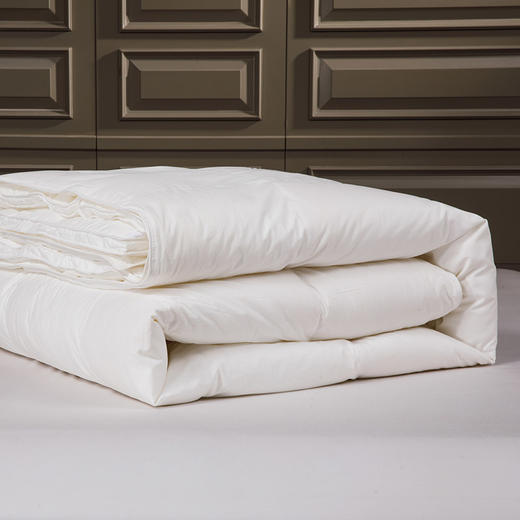 多喜爱 加倍保暖鹅享加厚冬被 商品图4