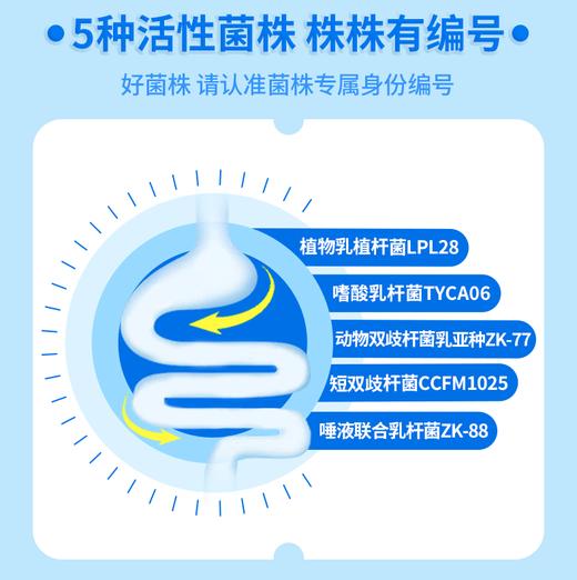 安心益生菌 商品图1