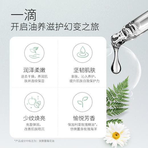 蜜雪儿角鲨烷美容精华油15ml/30ml保湿滋润以油养肤 商品图1