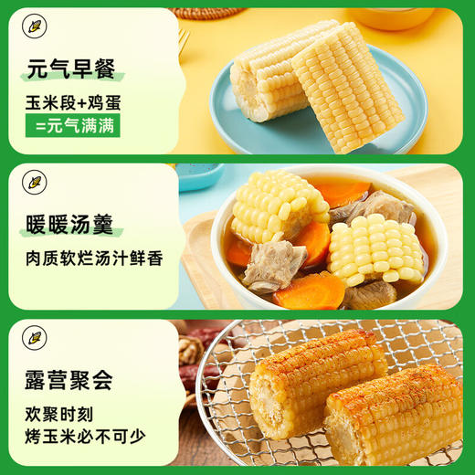 【十月稻田】白糯玉米段2.08kg/箱 商品图12