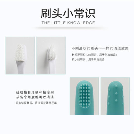 清新伙伴薄荷味牙膏套装宠物狗猫咪牙刷清新口腔猫咪用品 商品图2